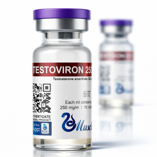 Testoviron 250 Muscle Labs – Enantato de Testosterona